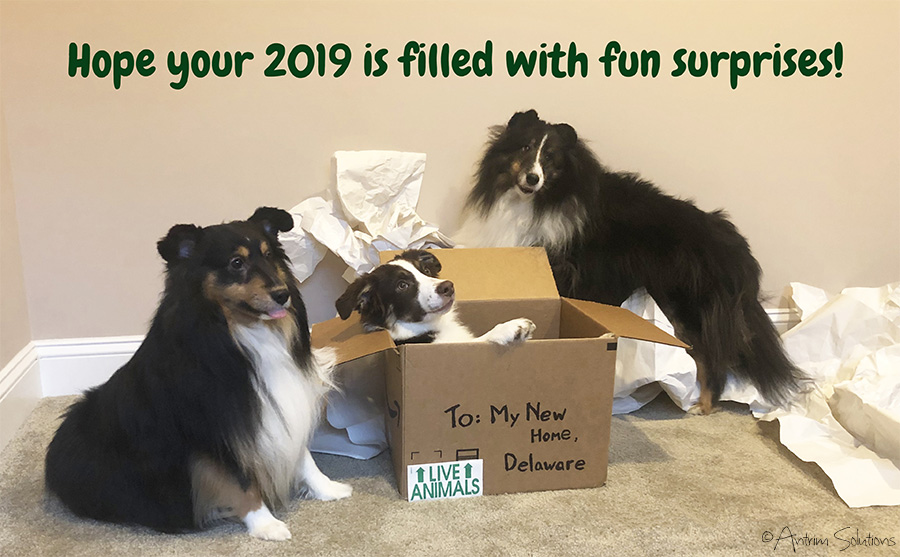 2018