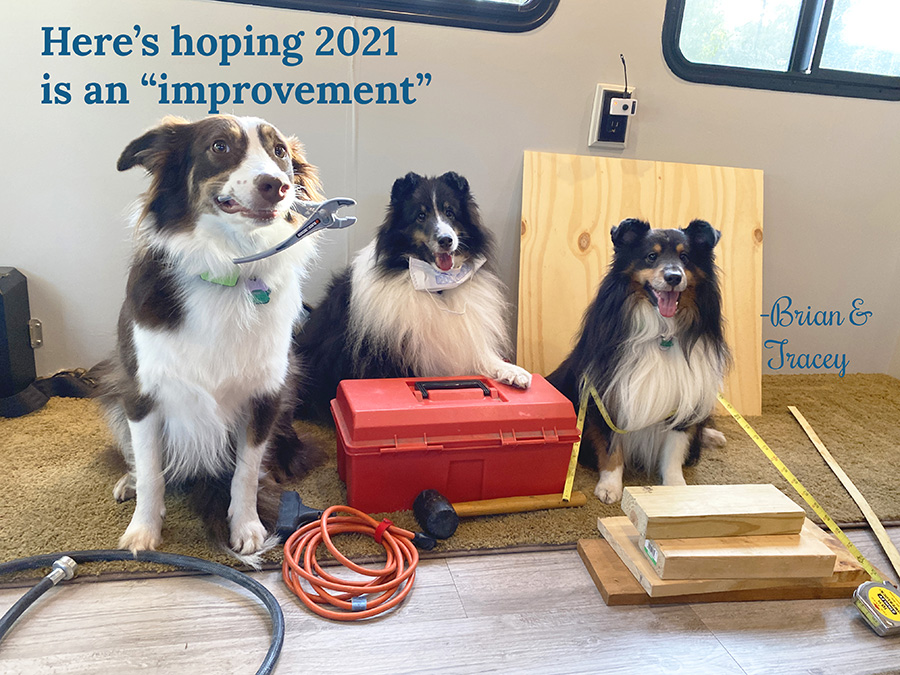 2020